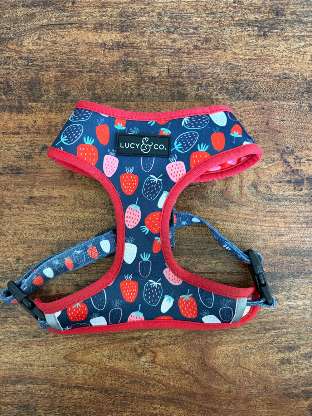 Lucy & Co Dog Harness